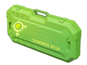 ESports 2014 Summer